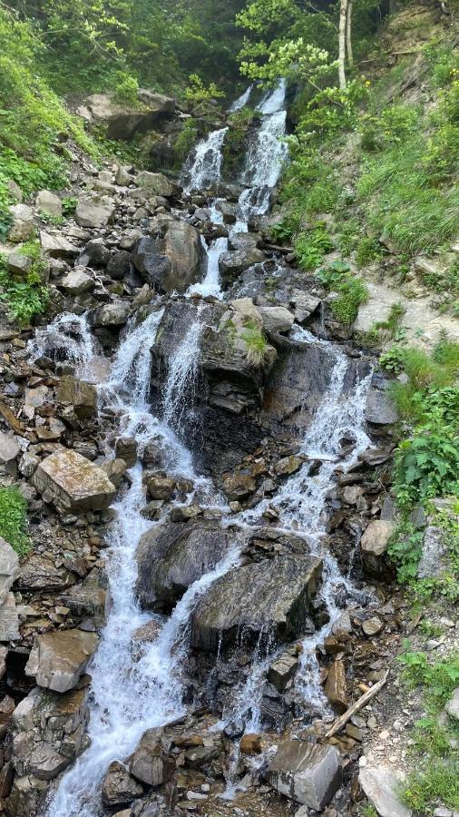 Azaliya Villa Lazeshchyna Dış mekan fotoğraf