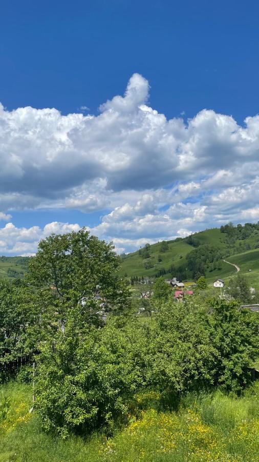 Azaliya Villa Lazeshchyna Dış mekan fotoğraf